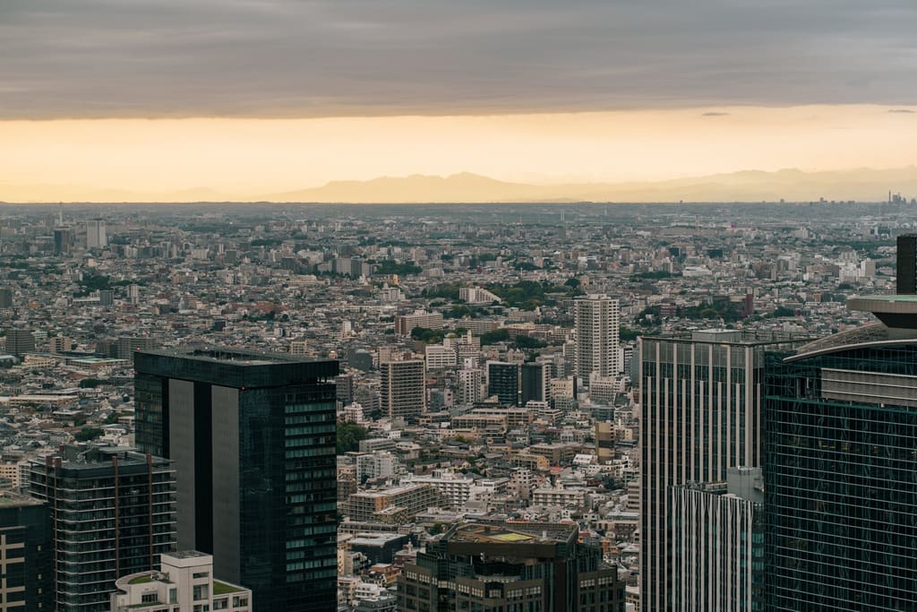 Tokyo City Skyline from the Tokyo Metropolitan Government Building